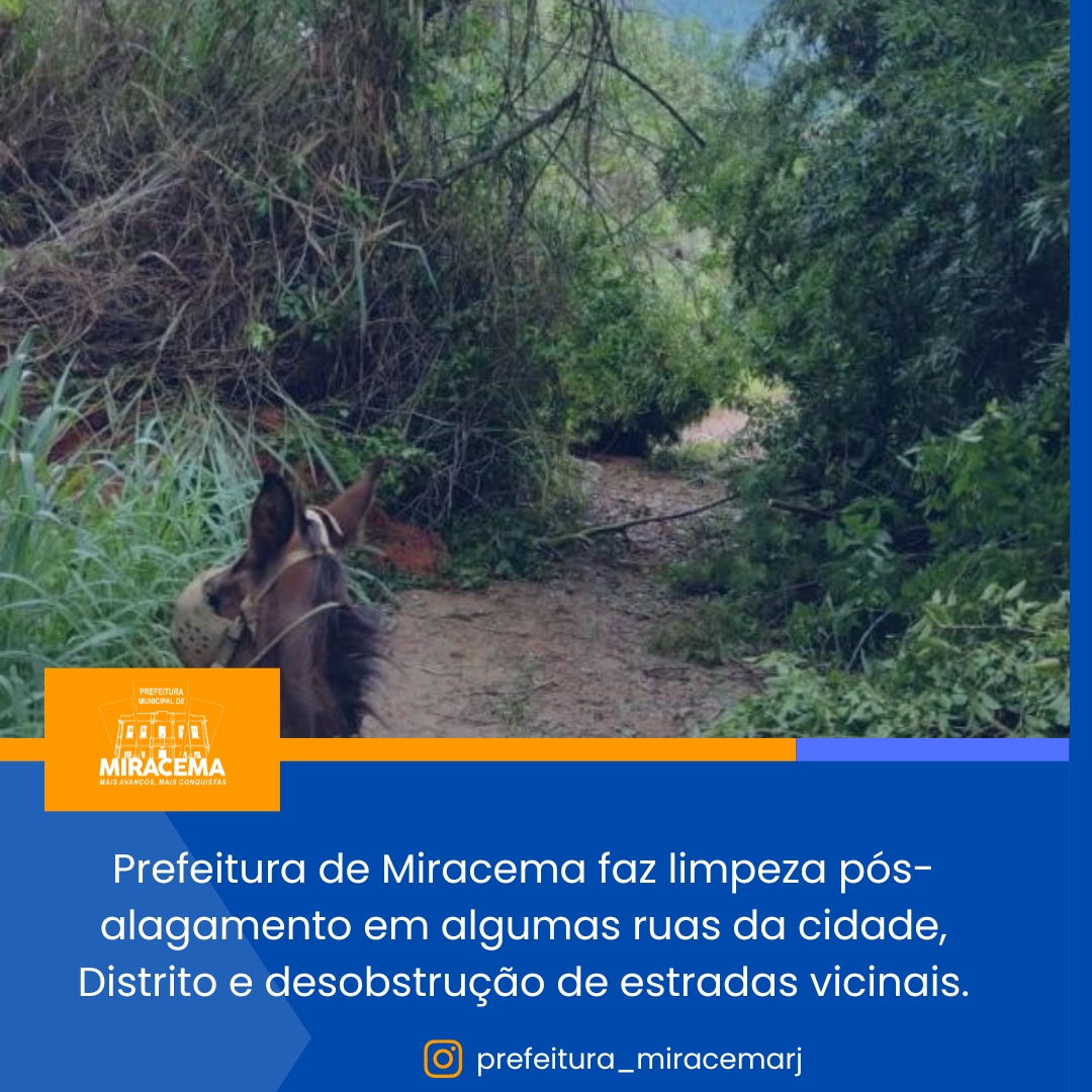 Foto da notícia