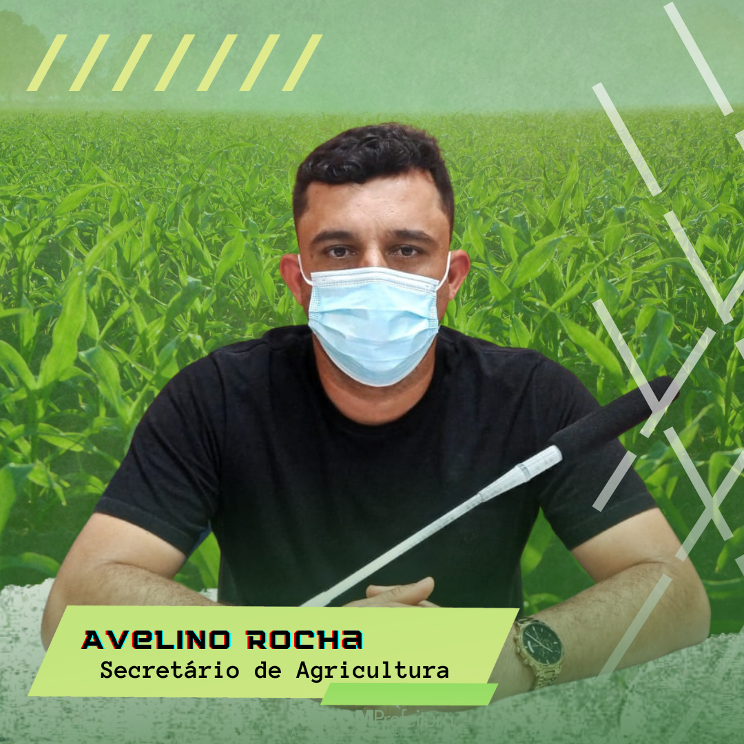 ENTREVISTA COM O SECRETÁRIO DE AGRICULTURA AVELINO ROCHA