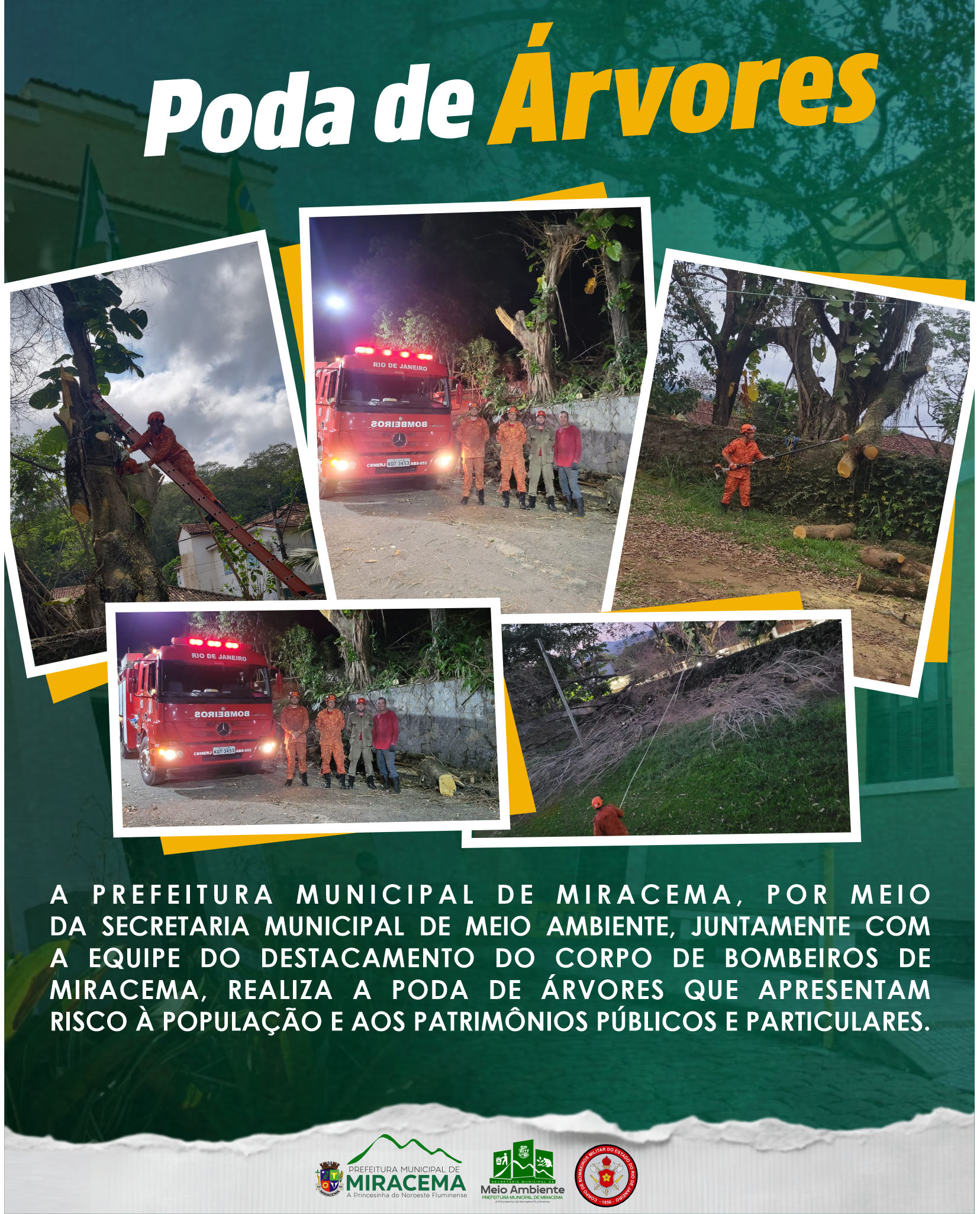 PODA DE ÁRVORES | SEGURANÇA E PREVENÇÃO